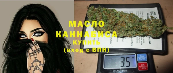 гидра Кинешма