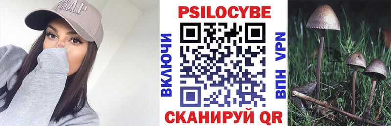Галлюциногенные грибы Magic Shrooms Красавино